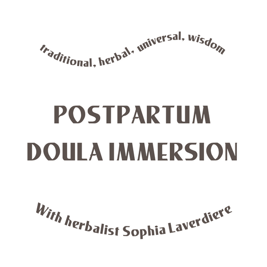 Postpartum Doula Immersion